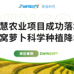 智易時(shí)代智慧農(nóng)業(yè)項(xiàng)目成功落地，助力沙窩蘿卜科學(xué)種植降本增效！