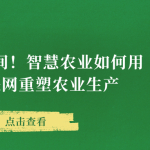 科技深耕田間！智慧農業(yè)如何用AI +物聯(lián)網重塑農業(yè)生產